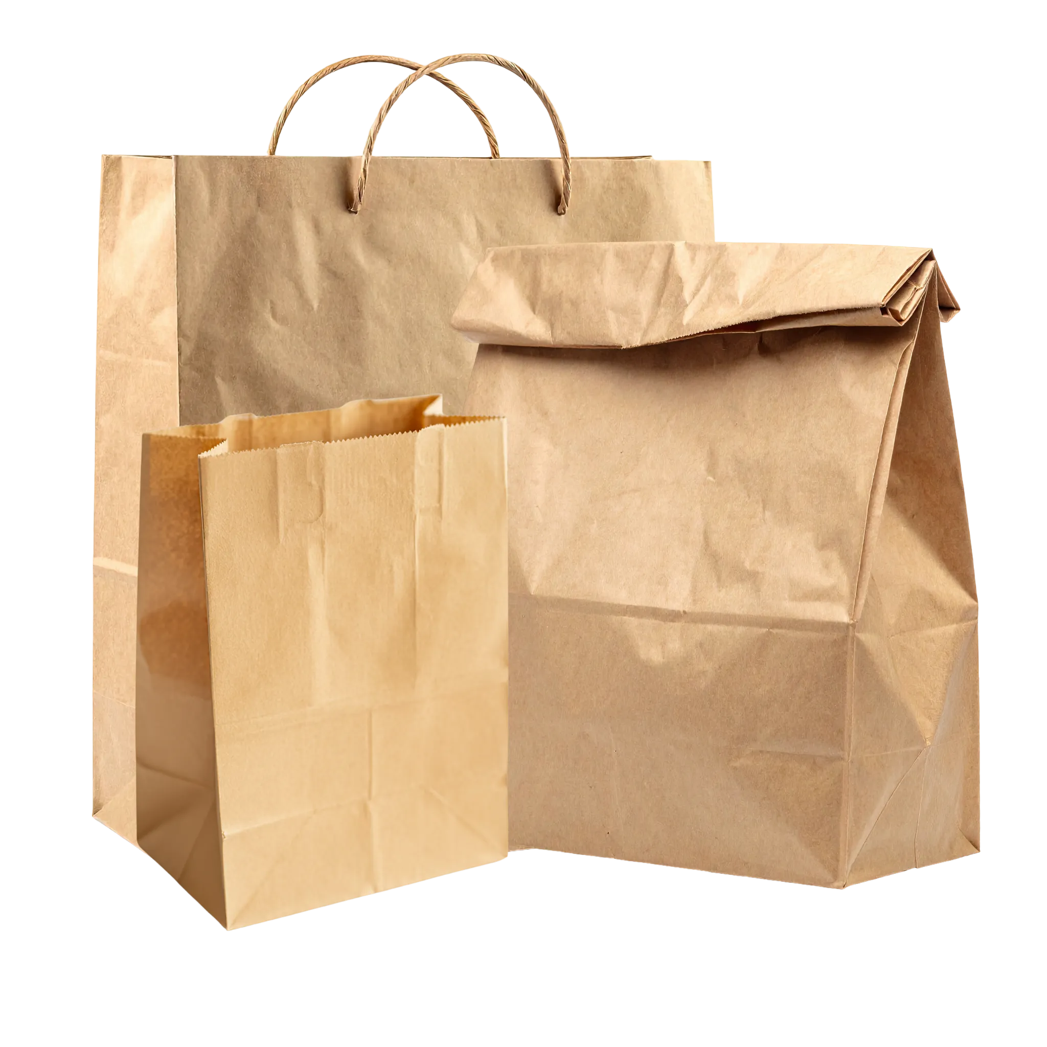 Paper carry bags for retail and food businesses